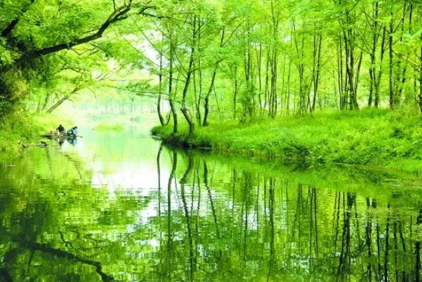 又增加一个!浙江这些国家级湿地公园美翻了