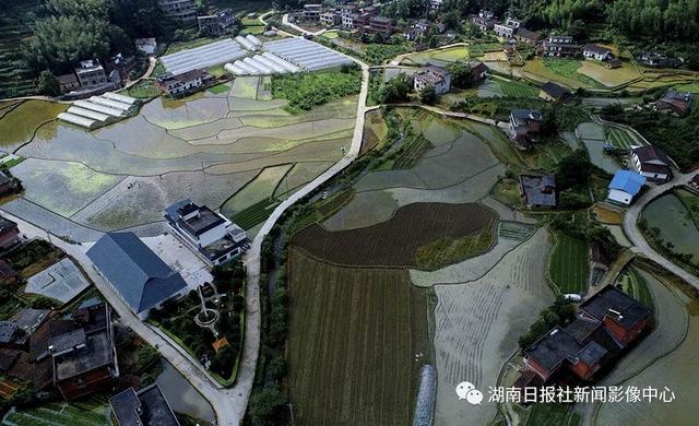新湖南影像榜「201905」:激情五月