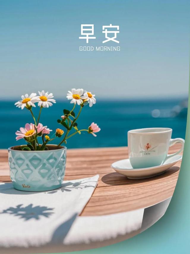 早安美图~每日问候情意长 友谊绵绵不能忘