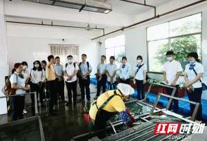 金智慧(建行张家界市分行开展“金智慧民 乡村振兴”万名学子暑期下乡实践活动)