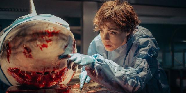 《大白鲨》加《艾米丽在巴黎》的电影在 Netflix 上大获成功