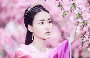 聂无双(聂无双和皇上同房了吗？聂无双最后和谁在一起了呢？)