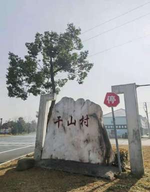 干山(在德清钟管镇游干山人民公社)