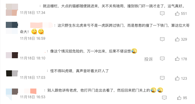 黑龙江大爷亲历“虎口脱险”,网友:这好奇心大的