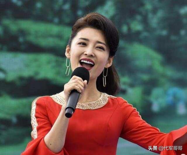 盘点安徽卫视捧红的八大著名主持人,你知道几位?