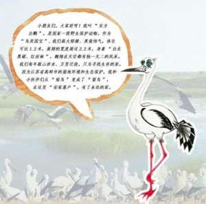 木偶剧(紫金文化艺术节·对话主创｜木偶剧《东方白鹳》：人和鸟儿的“爱与奔赴”)