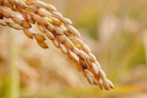 丝萌(新年寄语：时光酿成的酒有苦有甜，2022，属于永毅前行的你)