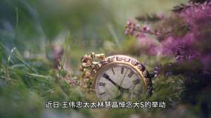 林慧晶(大S离去引悲痛，林慧晶发文，藏着啥隐情)