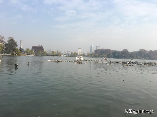苦乐年华 丨 有笑,未必不是破碎心;有痛,何苦不做潇洒人