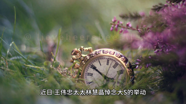 大S离去引悲痛,林慧晶发文,藏着啥隐情