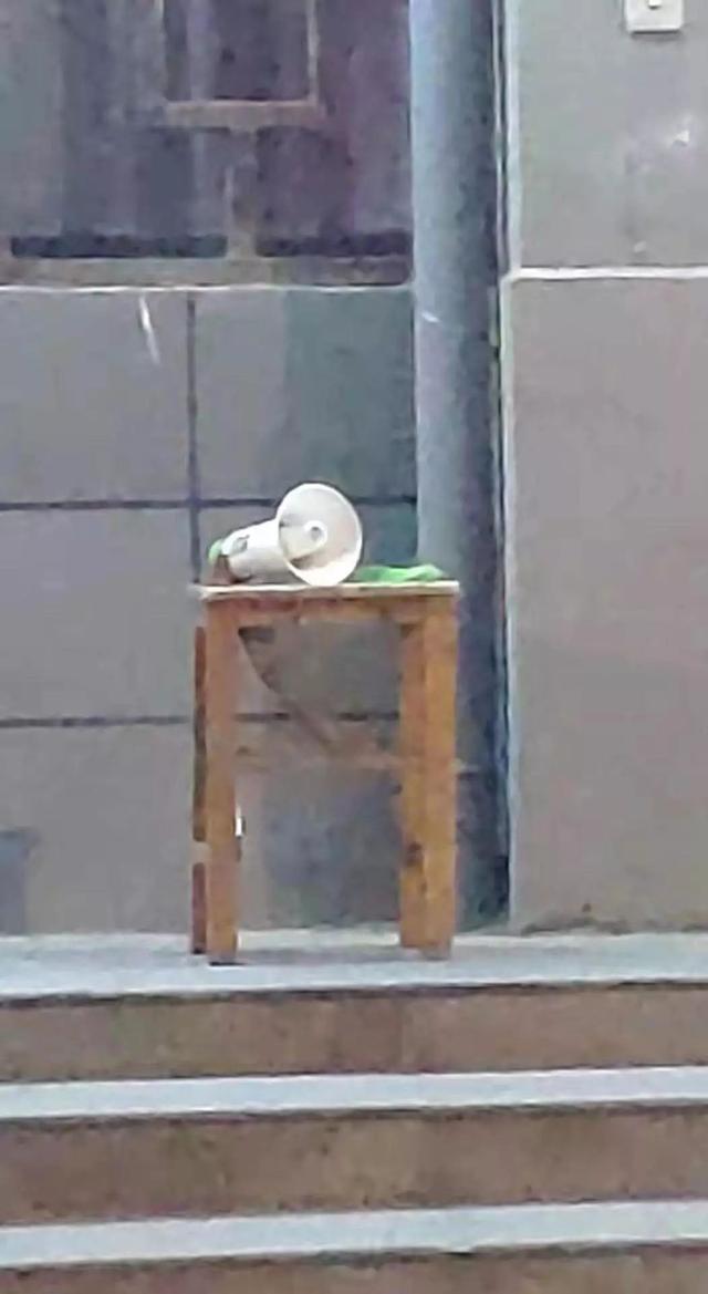 东北人已经累了,河南大学生却快乐得不行