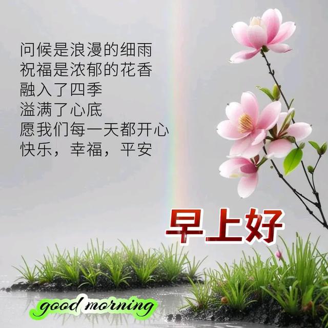早安美图~每日问候情意长 友谊绵绵不能忘