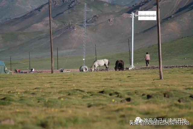 不显山不露水