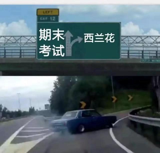 东北人已经累了,河南大学生却快乐得不行
