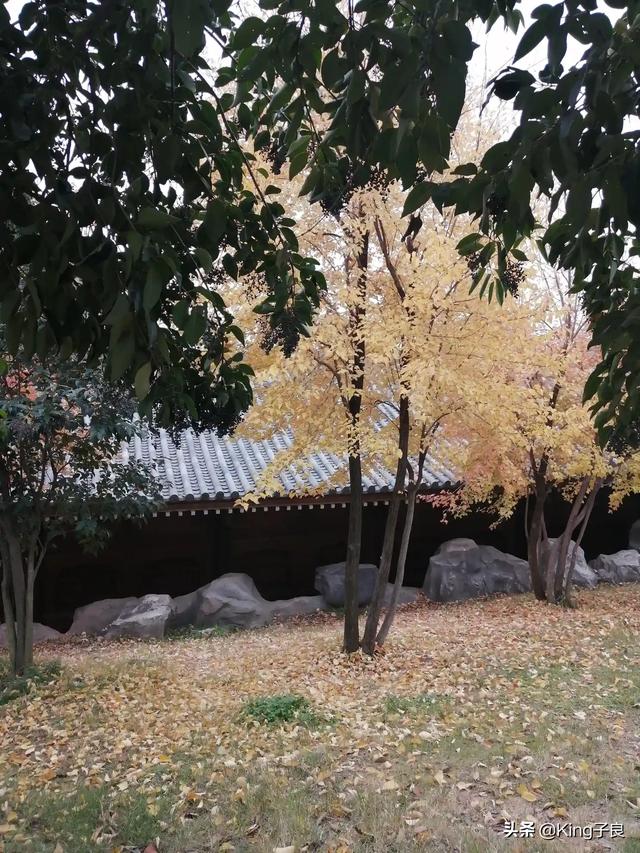 唐城影视基地