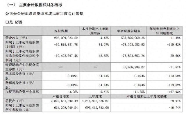 华控赛格副董事长周杨对两项议案投下反对票,上市公司扣非净利已连亏六年