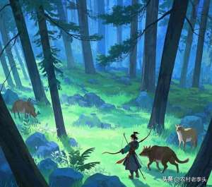 林羽(民间故事：永乐年间，林羽和纳兰的感人爱情故事)