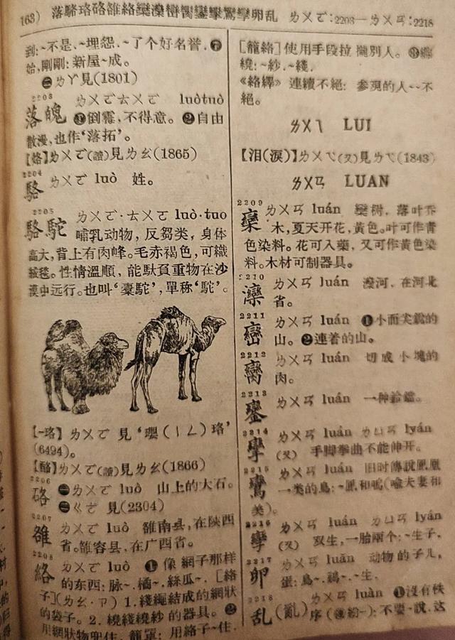 1957年新一版的«新华字典» ,好不容易碰到了