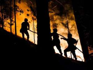 烈火金刚电视剧(烈火金刚)