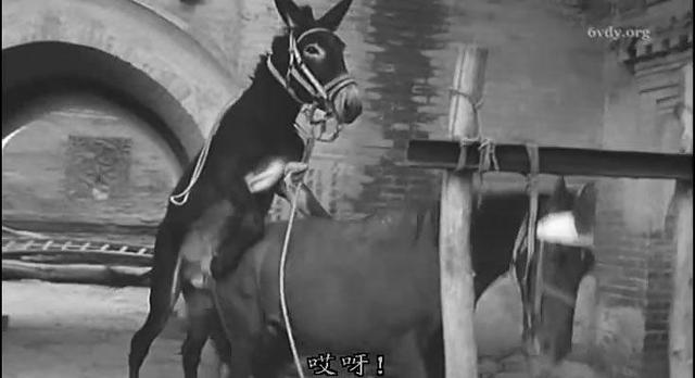 细说《鬼子来了》:现实版农夫与蛇的寓言故事