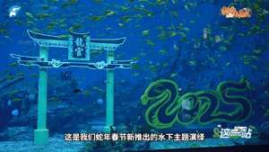 幻月之城(中牟：幻乐之城 欢乐过年丨这一站)