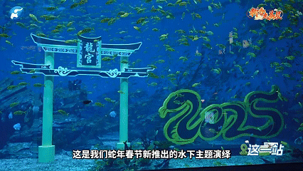 中牟:幻乐之城 欢乐过年丨这一站