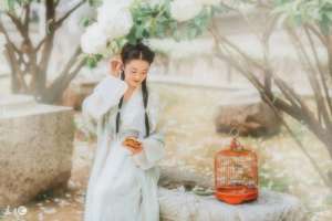 慕容安(故事：置之死地而后生，她隐藏恨意道出计划，踏破东莱国城墙)