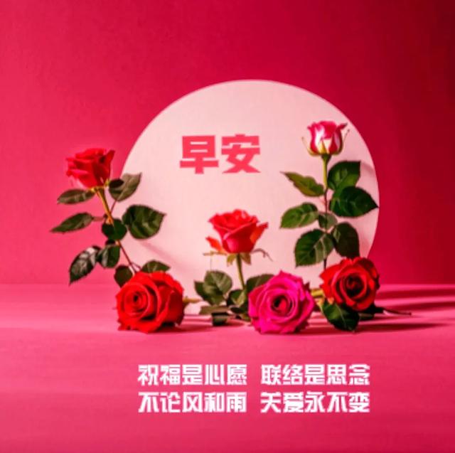 早安美图~每日问候情意长 友谊绵绵不能忘