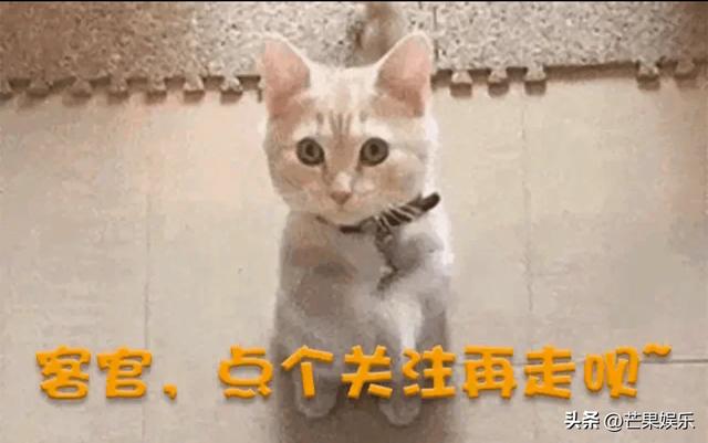 凯特·阿普顿:跨界女神的璀璨轨迹—从泳装女王到商业新星的蜕变