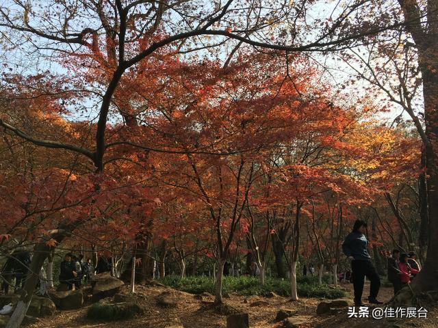 苦乐年华 丨 有笑,未必不是破碎心;有痛,何苦不做潇洒人