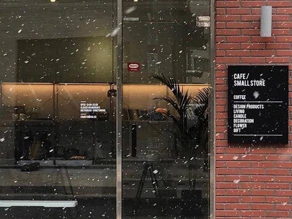 不管多大年龄都永远相信爱情的星座,被别人嘲笑,却勇往直前