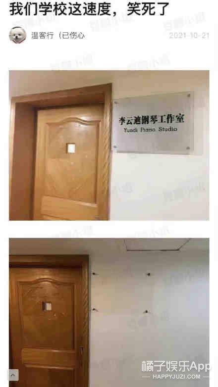 李云迪自毁前程!连累诸多综艺节目被下架,连郎朗吉娜也没逃过?