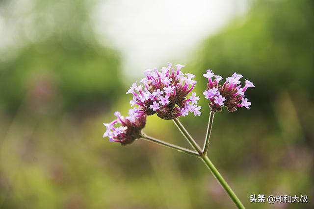 我欣赏这样活着的女人