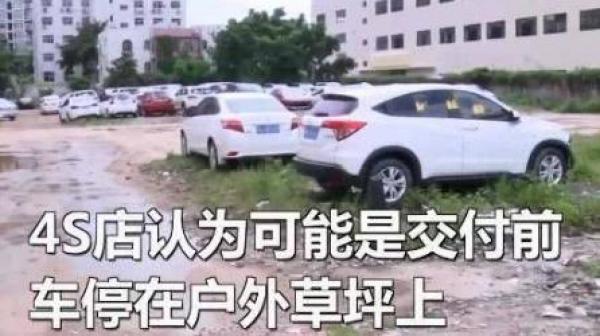 男子花30万买新车不料车内竟暗藏数个蚂蚁窝,维修5天还有蚂蚁