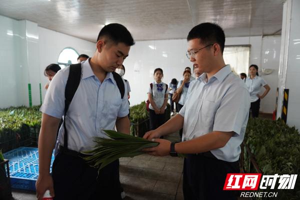 建行张家界市分行开展“金智慧民 乡村振兴”万名学子暑期下乡实践活动