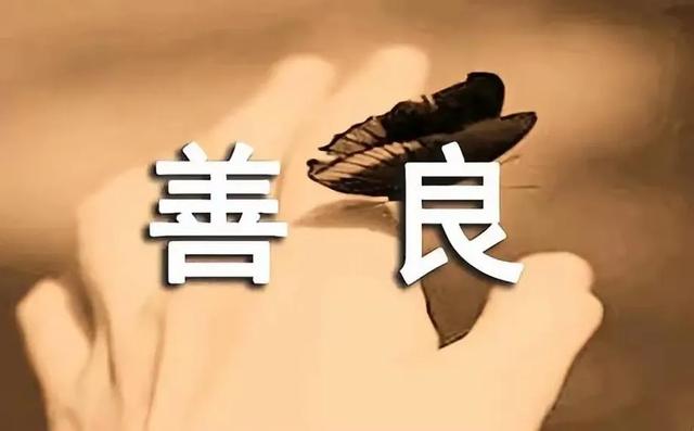 抄书第398天:善良和爱都是免费的,但不是廉价的。