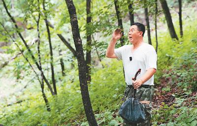 长白山上话人参(道地药材巡礼·吉林篇)