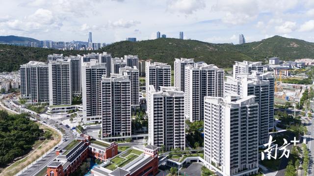 筑梦“琴澳岛”:跨境生活幸福感如何拉满?|琴颂·家园篇