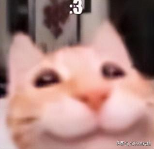 完蛋！我被舞狮包围了？游戏圈舞狮角色大赏！