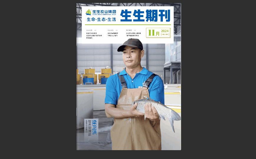 教你使用FLBOOK制作动画翻页电子书