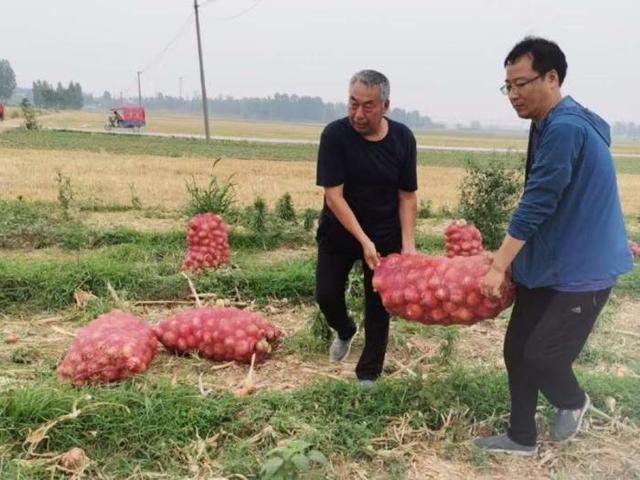 驻村更“驻心” 实干促振兴——访尉氏县邢庄乡甄家村驻村第一书记刘永涛