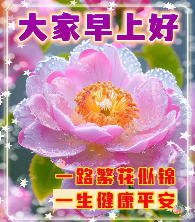 早安美图~每日问候情意长 友谊绵绵不能忘