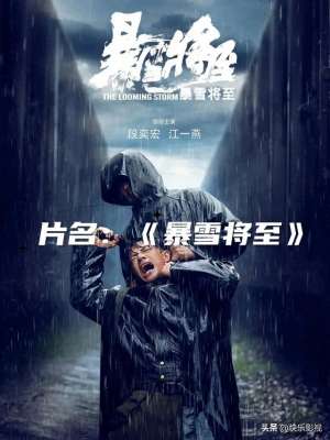 暴雪将至豆瓣(《暴雪将至》电影的详细介绍：)