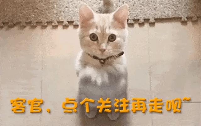 为什么说孩子名字别乱取啊?网友:名字太大了,你以后镇不住啊!