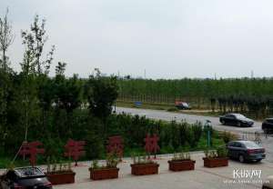 盛夏光年吉他谱(「瓣瓣同心·协同五年谱新篇」初长成“千年秀林”葱茏滴翠)