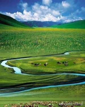 爱似苍穹(看诗讲故事《敕勒歌》)