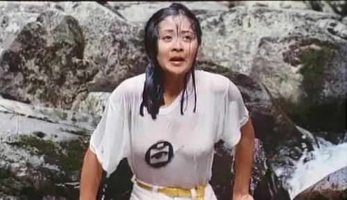 我的观影史：从文艺小清新变成重口味