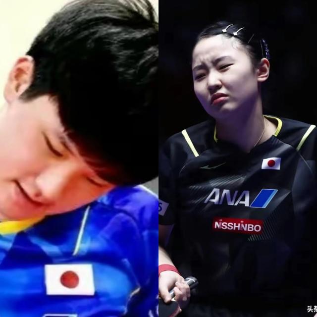 孙颖莎知音早田也，张本夫妇因妒生恨疯狂诱惑，兄妹梦断回头无岸