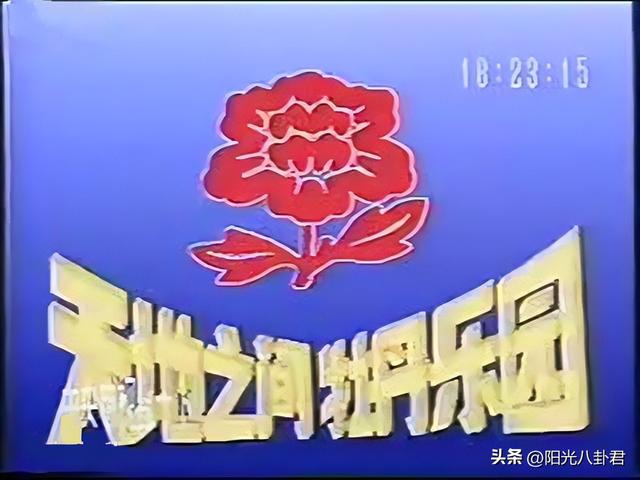 13年过去了,那个为爱远嫁日本却遭背叛的小史可,如今怎么样了?