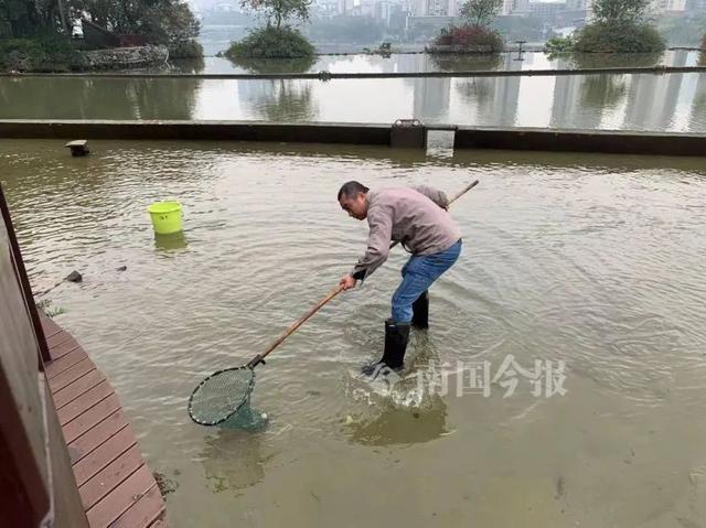 柳州公园惊现“食人鱼”!满口利齿模样吓人,物种入侵有多严重?